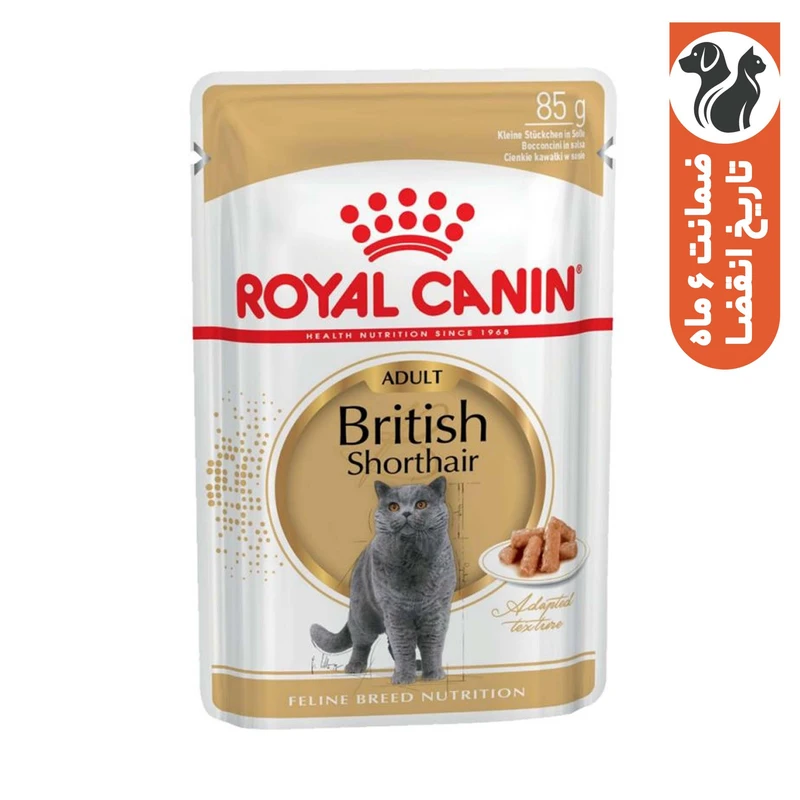 پوچ گربه رویال کنین مدل British Shorthair وزن 85 گرم