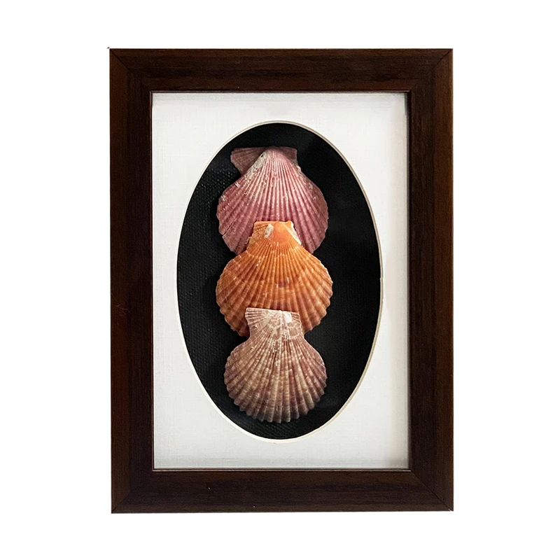 تابلو بکلیت طرح صدف دریایی W-204-1318 فریم قهوه ای