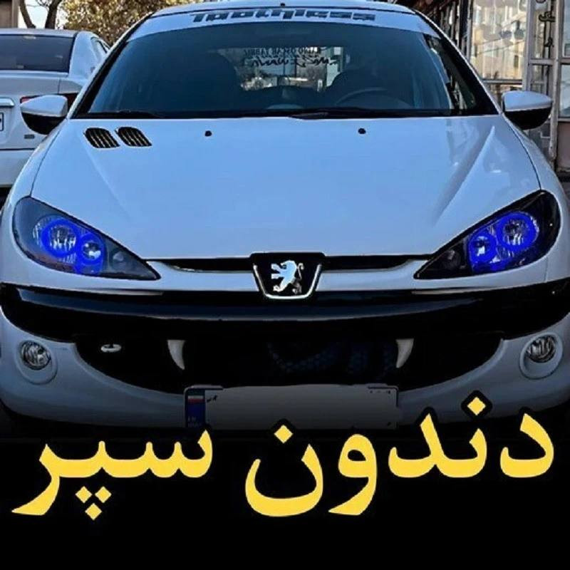 تصویر 14