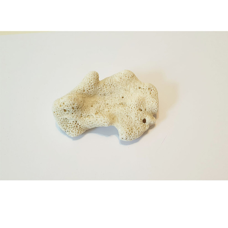 مرجان تزیینی آکواریوم مدل lde32 مجموعه 5 عددی