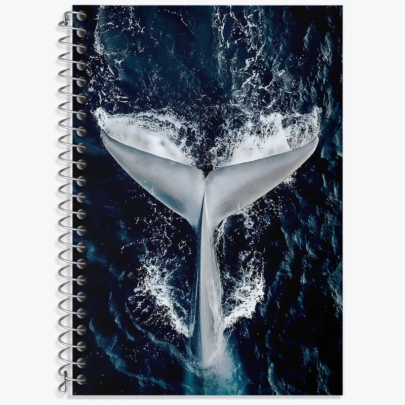 دفتر زبان 50 برگ خندالو مدل دو خط طرح وال کد F1313