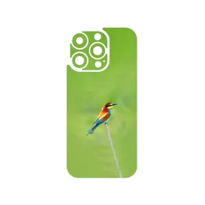 MAHOOT European bee-eater Cover Sticker for Apple iPhone 16 Pro