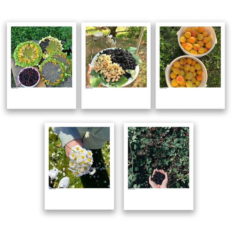 آویز تزیینی عرش مدل هنری منظره تابستونی کد Asa782 مجموعه پنج عددی