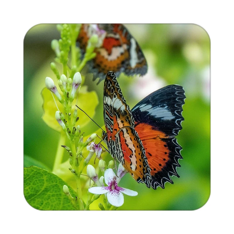 زیر لیوانی کاکتی طرح گل مدل mp18741