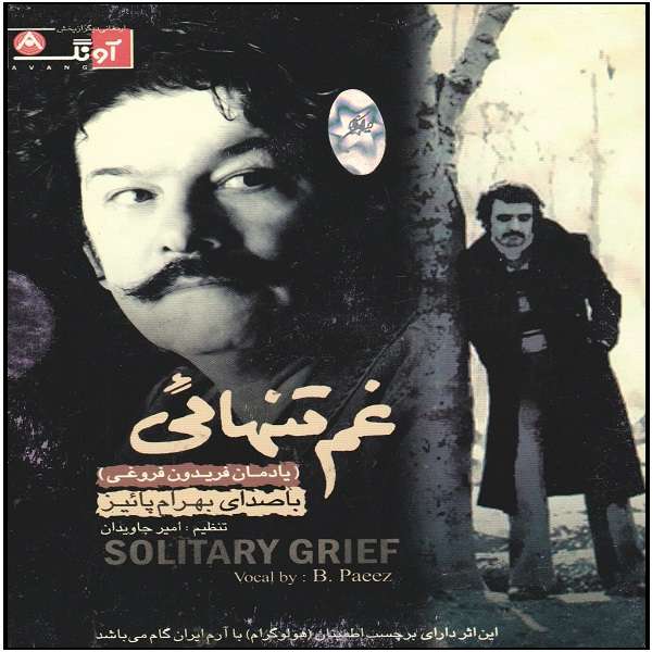 آلبوم موسیقی غم تنهایی اثر بهرام پاییز