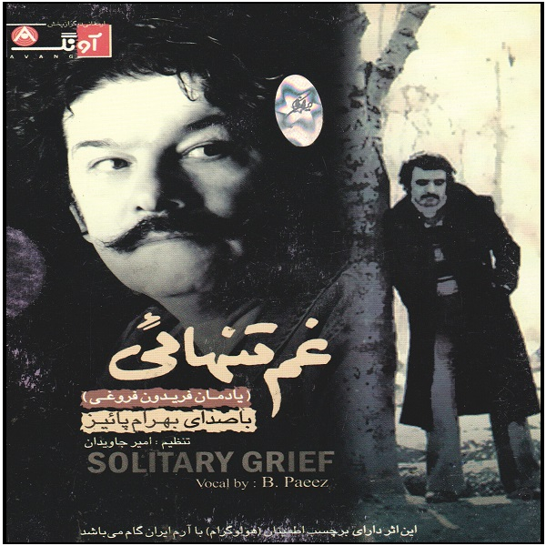 آلبوم موسیقی غم تنهایی اثر بهرام پاییز
