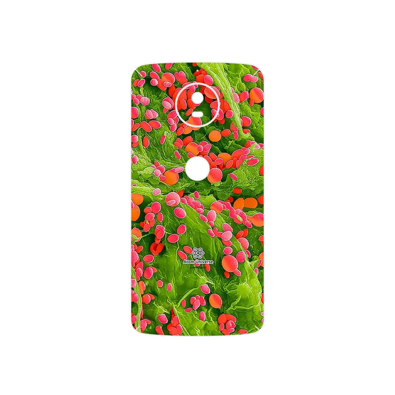 برچسب پوششی ماهوت مدل Atom Universe 3 مناسب برای گوشی موبایل موتورولا Moto G5S