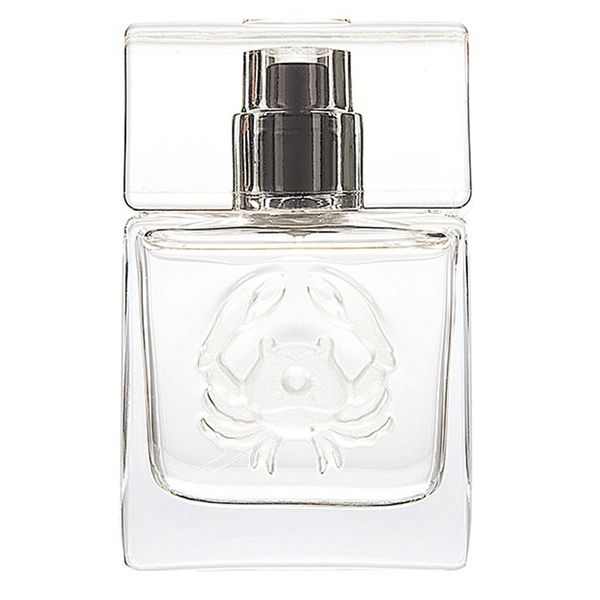 عطر جیبی زنانه دندلیون مدل Cancer حجم 30 میلی لیتر - تیر عطر جیبی زنانه دندلیون مدل Cancer حجم 30 میلی لیتر - تیر