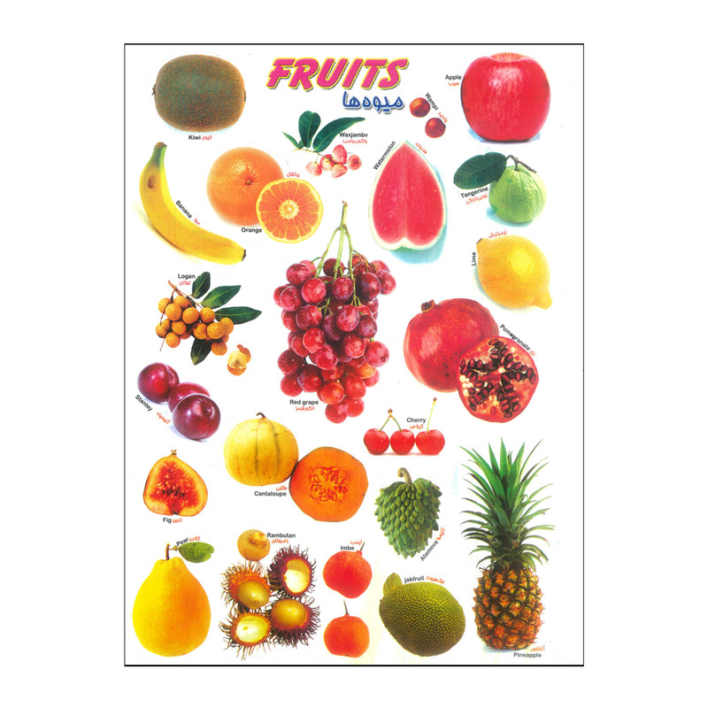 برچسب مدل میوه ها کد Fruits-1125
