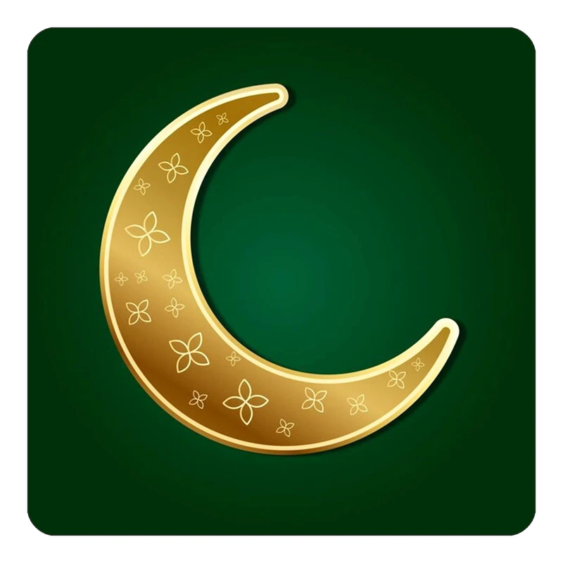 مگنت کاکتی طرح ماه و ستاره مدل mp52867