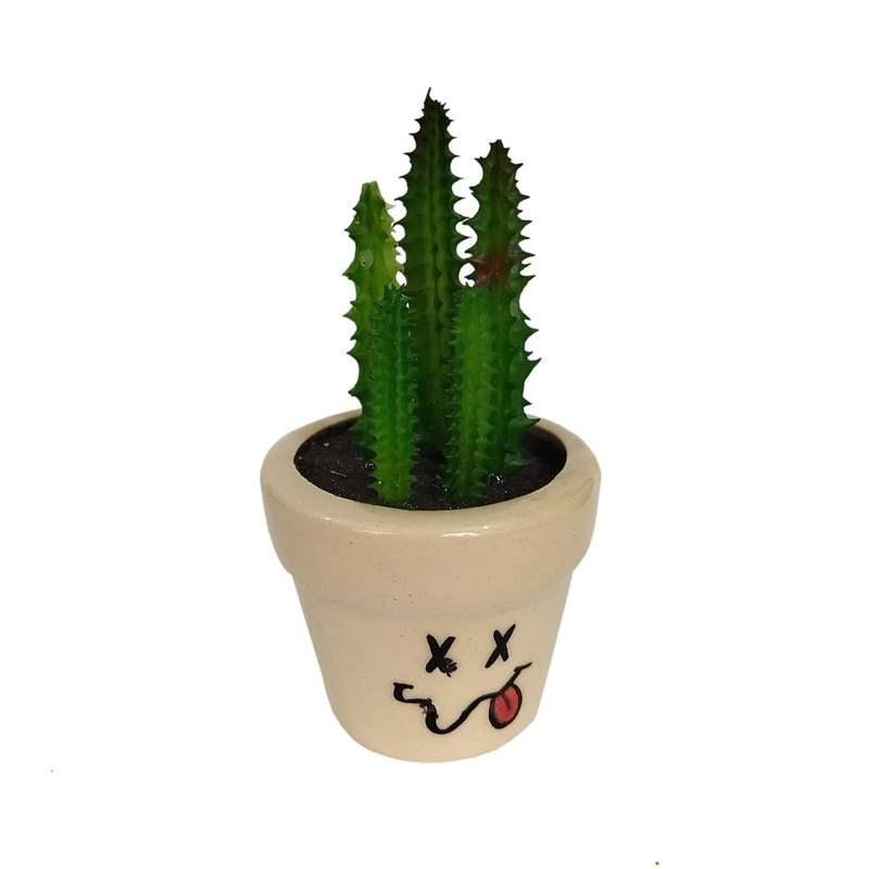 گلدان به همراه گل کاکتوس مصنوعی طرح استیکر مدل 20651