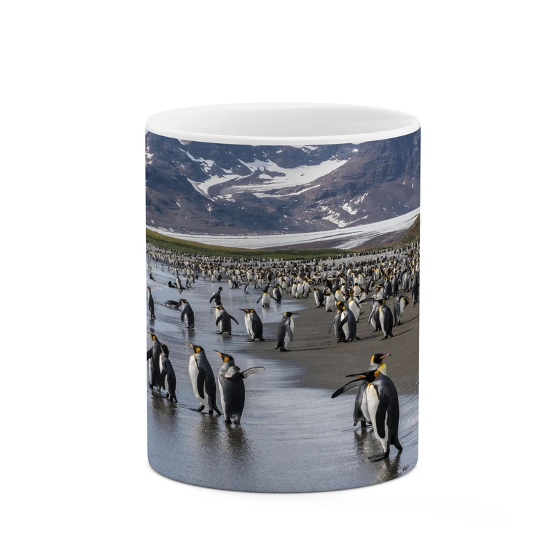 ماگ کاکتی مدل پنگوئن کد mgh17259