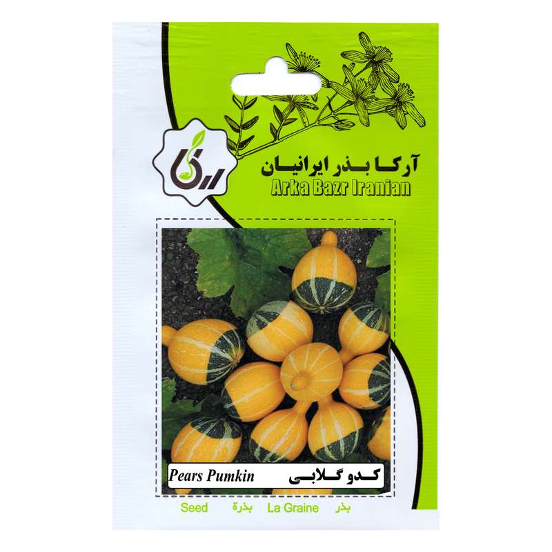 بذر کدو گلابی آرکا بذر ایرانیان مدل B113