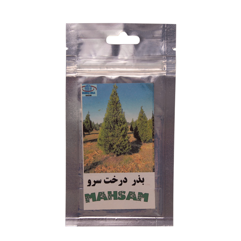 بذر آماده کاشت درخت سرو مهسام مدل S-20