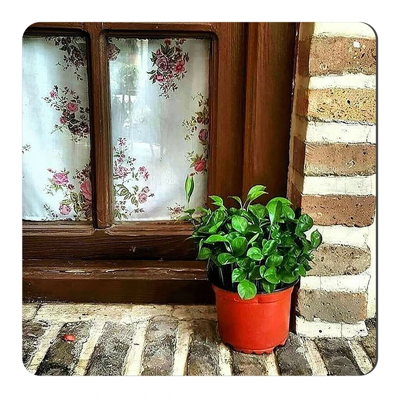 مگنت طرح گلدان پای پنجره چوبی کد wmg2832