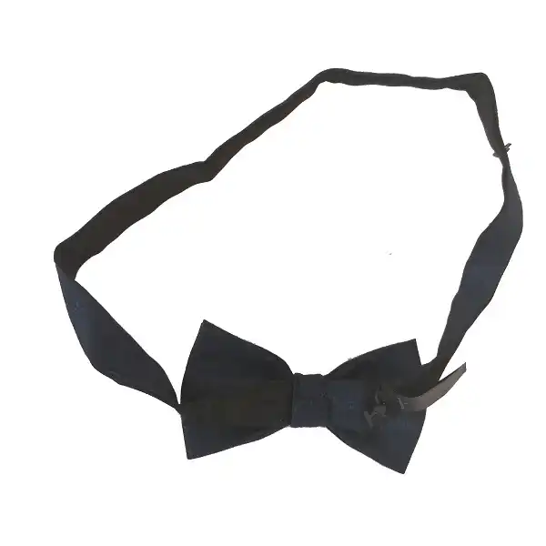 پاپیون مدل 3787940