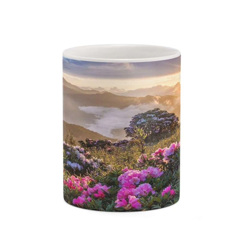 ماگ کاکتی مدل منظره کد mgh18295