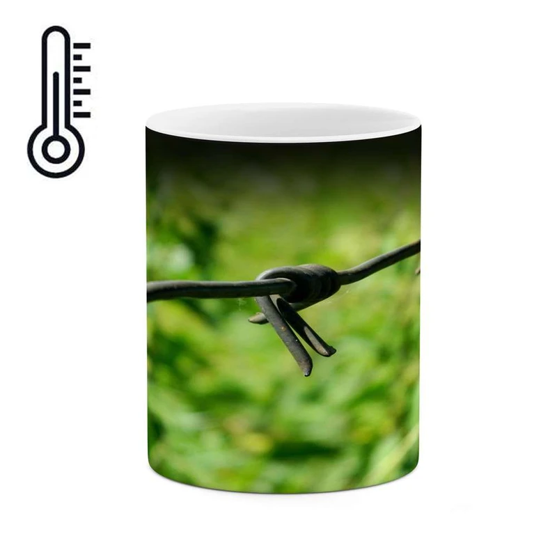 ماگ حرارتی کاکتی مدل سیم خاردار کد mgh15452