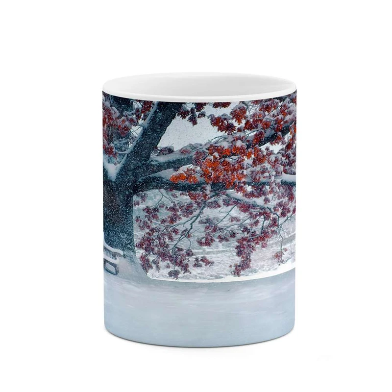 ماگ کاکتی مدل منظره برفی کد mgh15053