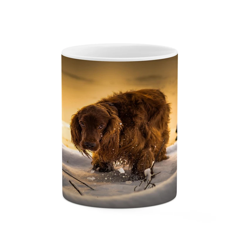 ماگ کاکتی مدل سگ کد mgh17273