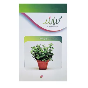 بذر پونه کیا بذر کد 028