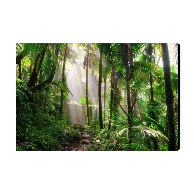 تابلو شاسی عرش مدل فانتزی طبیعت جنگل کد As3992