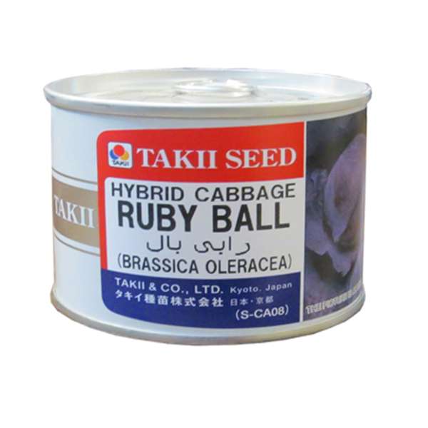 بذر کلم پیچ قرمز روبی بال تاکی مدل روبی بال