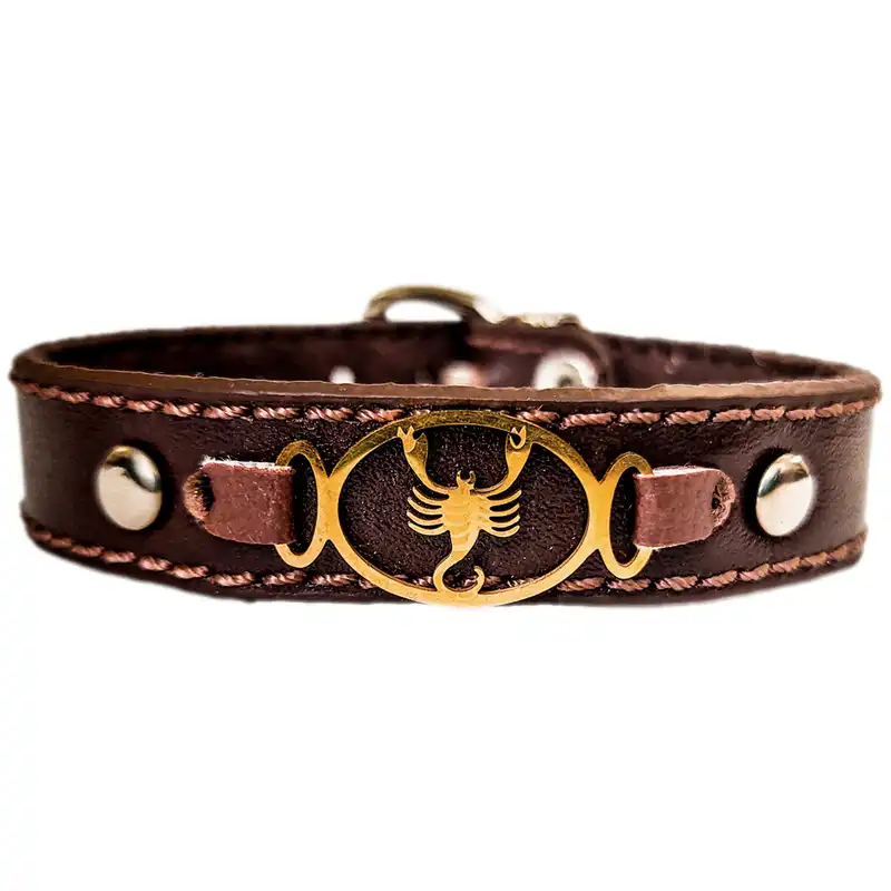 دستبند چرم وارک طرح نماد ماه آبان مدل برسام کد rb242