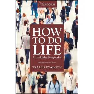 کتاب How To Do Life اثر Traleg Kyabgon and Salvatore Celiento MA انتشارات Shogam Publications