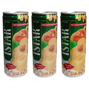 آبمیوه هلو با تکه های میوه ایستک - 240 میلی لیتر بسته 3 عددی