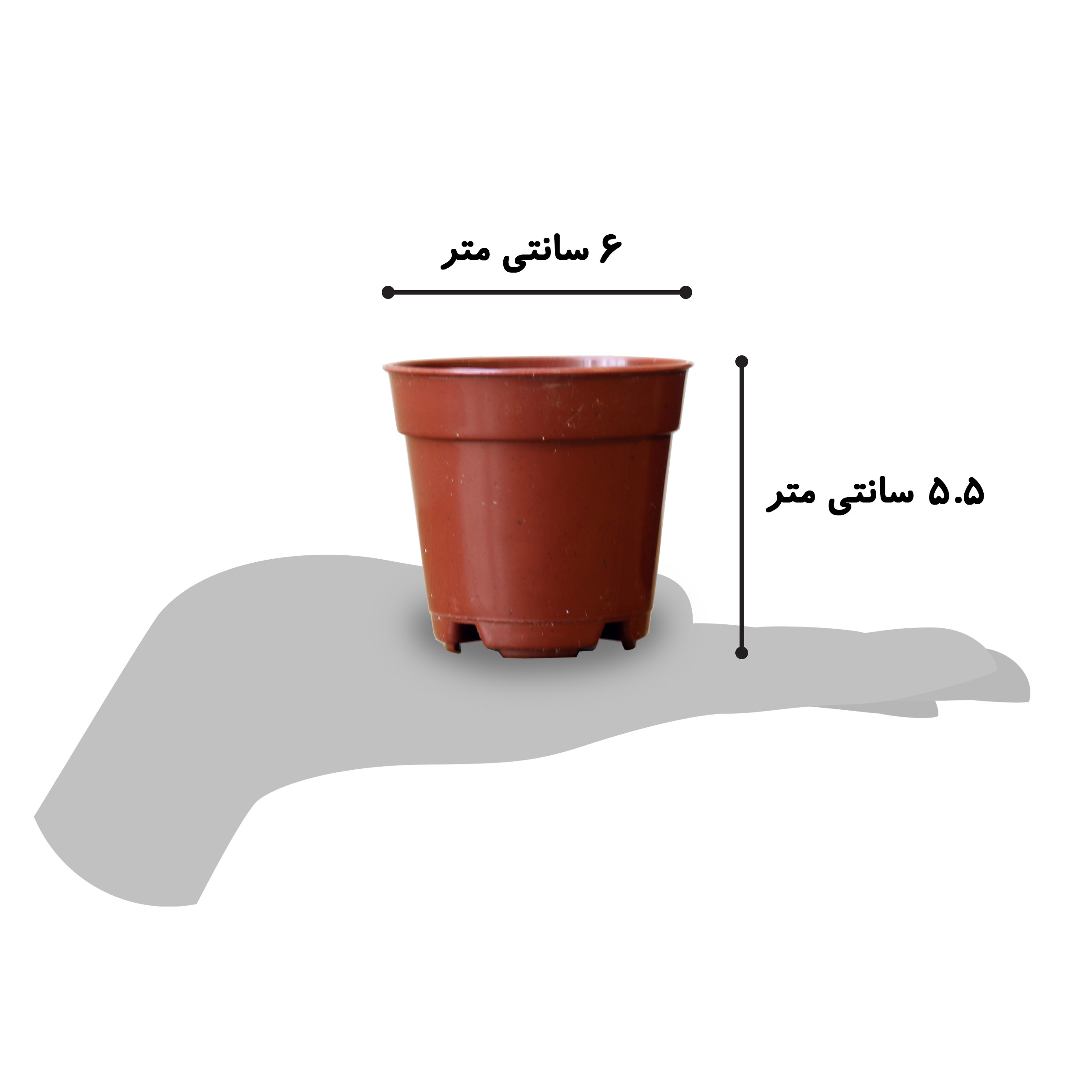 گیاه طبیعی کاکتوس آیدین کاکتوس کد CB-028 بسته 12 عددی