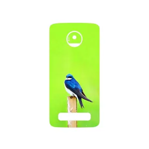 MAHOOT Bird Swallow Cover Sticker for Motorola Moto Z Play