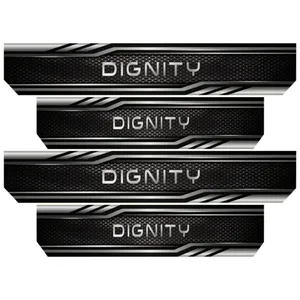 برچسب بدنه خودرو رایسان کد SP2034 مناسب برای دیگنیتی مجموعه 4 عددی