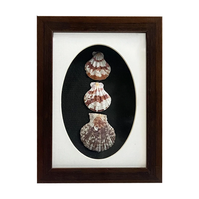 تابلو بکلیت مدل صدف دریایی W-204-1318 فریم قهوه ای