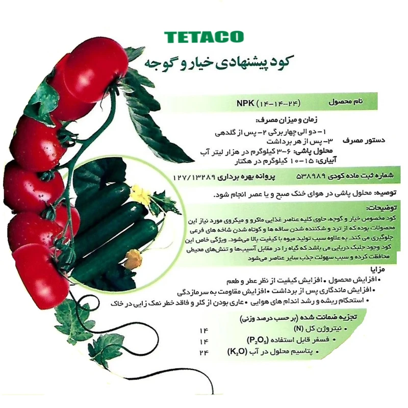 عکس شماره 2