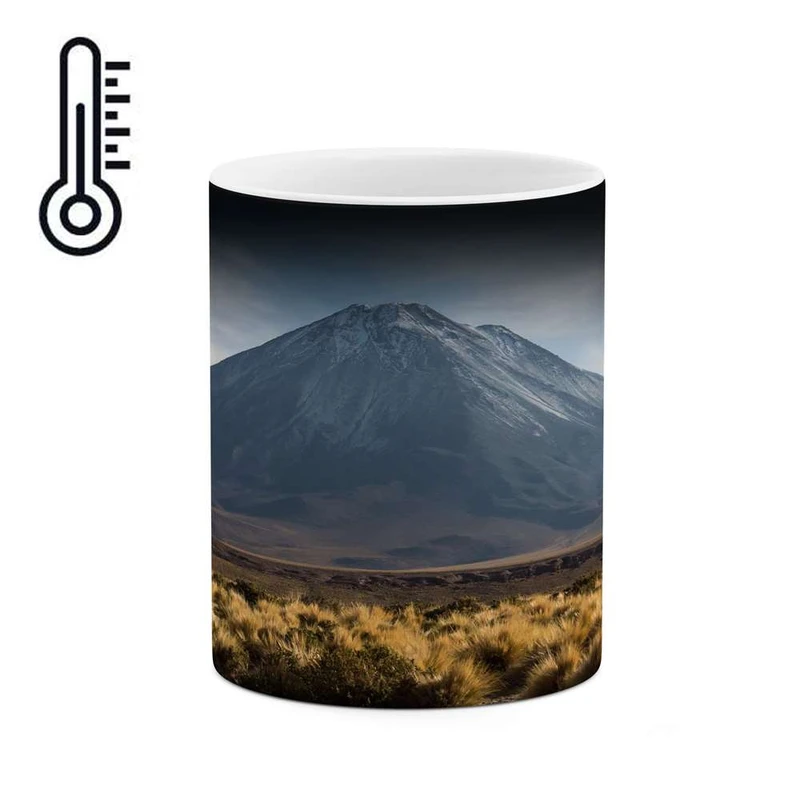 ماگ حرارتی کاکتی مدل منظره کد mgh13145