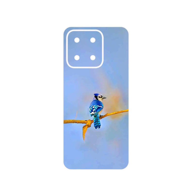 برچسب پوششی ماهوت مدل Cyanocitta cristata مناسب برای گوشی موبایل آنر X5b Plus