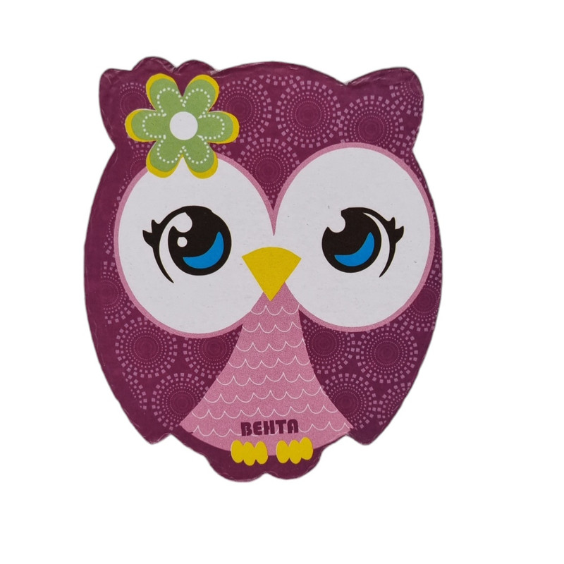 تخته پاک کن بهتا مدل جغد 2 مغناطیسی