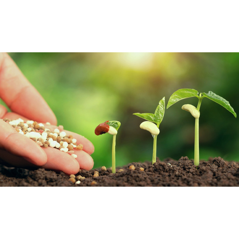 کود NPK  مشیانه مدل n10 وزن 25 گرم