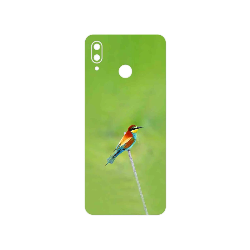برچسب پوششی ماهوت مدل European bee-eater مناسب برای گوشی موبایل آنر Play
