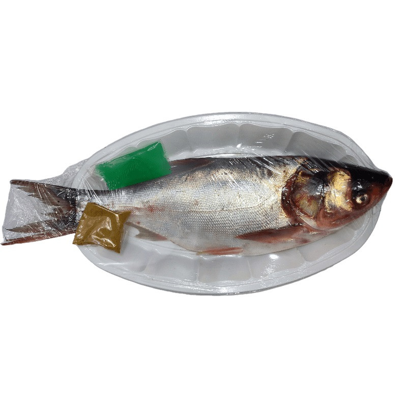 ماهی تازه فیتوفاگ شکم خالی شاه ماهی بندر - 1200 گرم