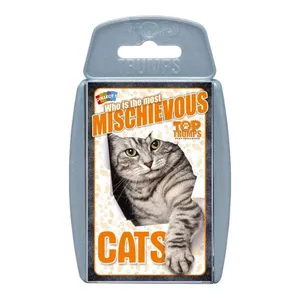 بازی آموزشی مدل Cats
