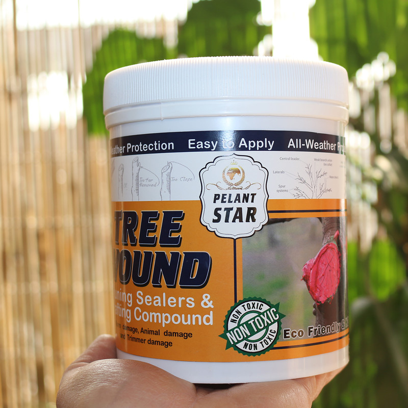 چسب باغبانی پلنت استار مدل ps-1 وزن 1 کیلوگرم