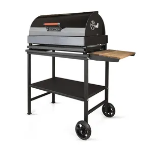 باربیکیو رمروکس مدل ذغالی