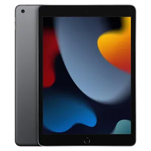 Apple iPad 9th Generation 10.2-Inch Wi-Fi 2021 256GB Tablet
