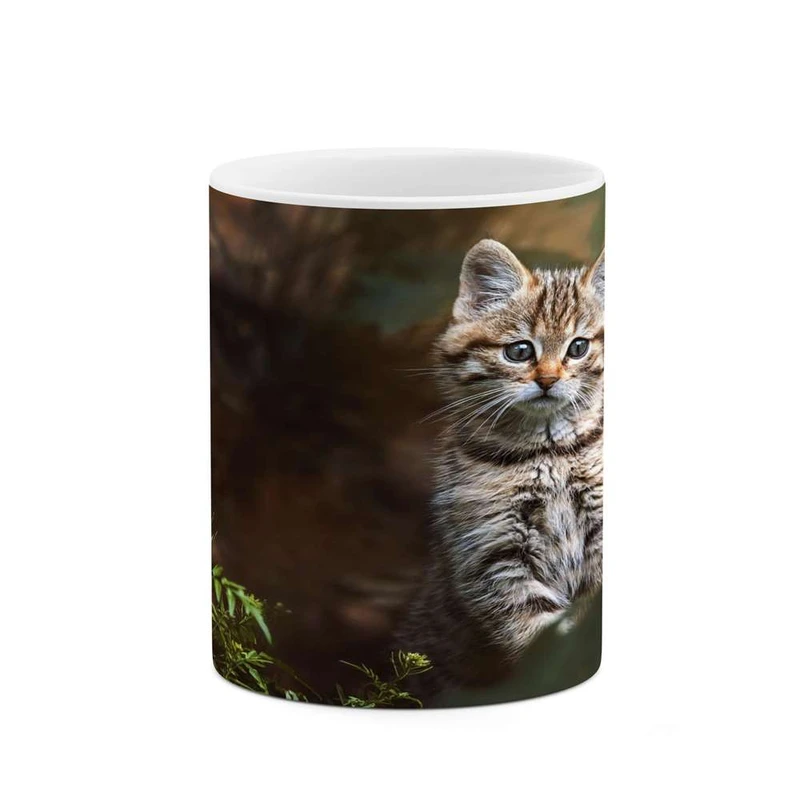 ماگ کاکتی مدل گربه کد mgh16201