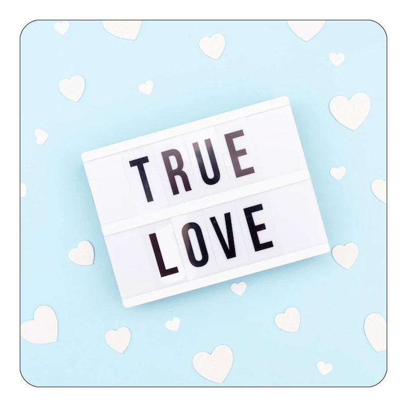 مگنت کاکتی طرح عاشقانه مدل mp37418