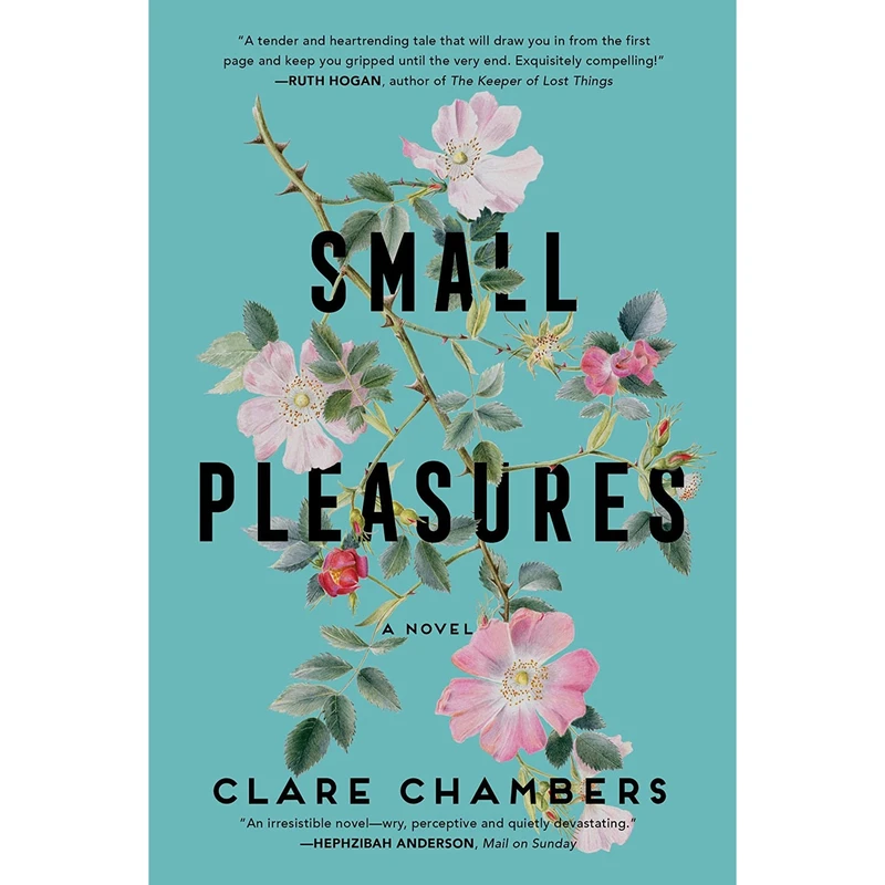 کتاب Small Pleasures اثر Clare Chambers انتشارات Mariner Books