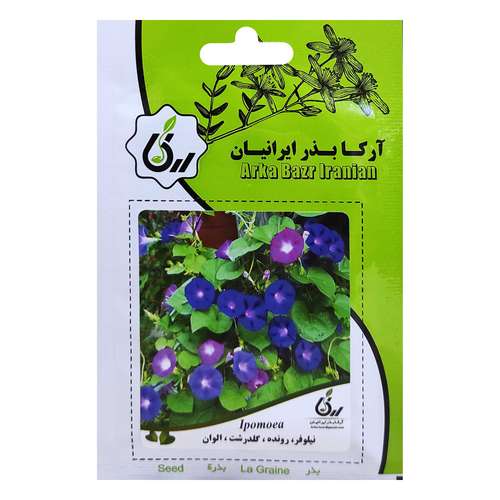  بذر نیلوفر رونده گلدرشت الوان آرکا بذر ایرانیان کد ARK-035