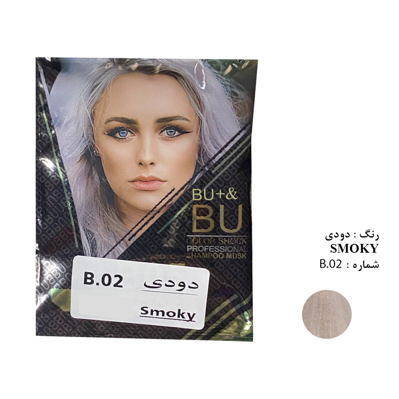 شامپو رنگ مو بیو مدل شماره B.02 حجم 30 میلی لیتر رنگ دودی
